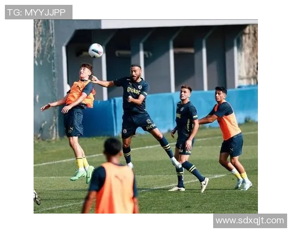 聚焦足球巨星:他们的激情、奋斗与荣耀成就的背后故事