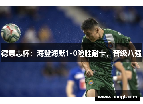 德意志杯：海登海默1-0险胜耐卡，晋级八强